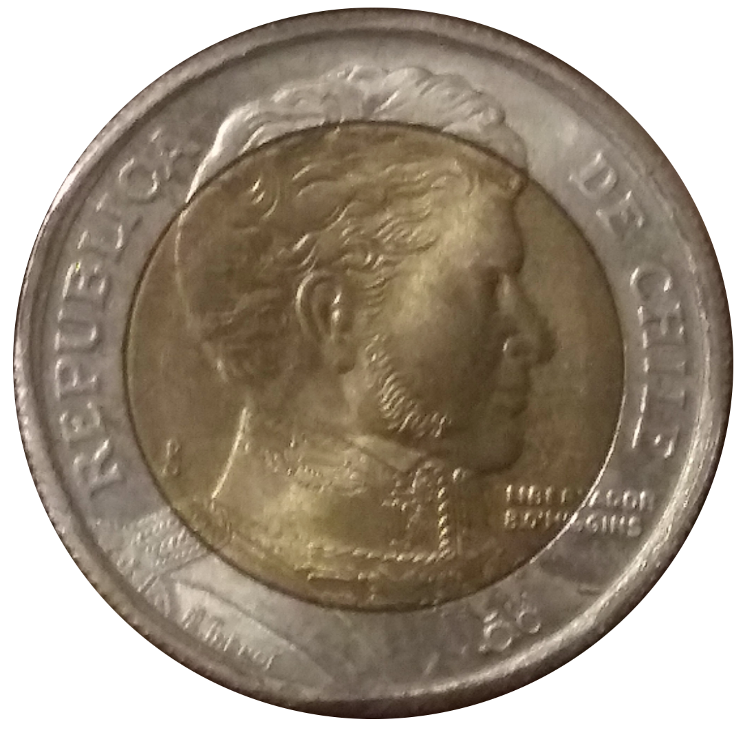sena coins